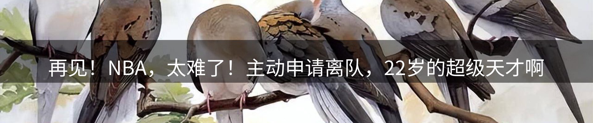 内页banner